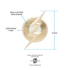 DC Comics The Flash Large Magnetic Pin - Jewelry Brands Shop