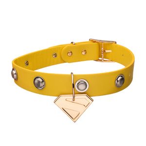 Krypto Collar Choker Necklace