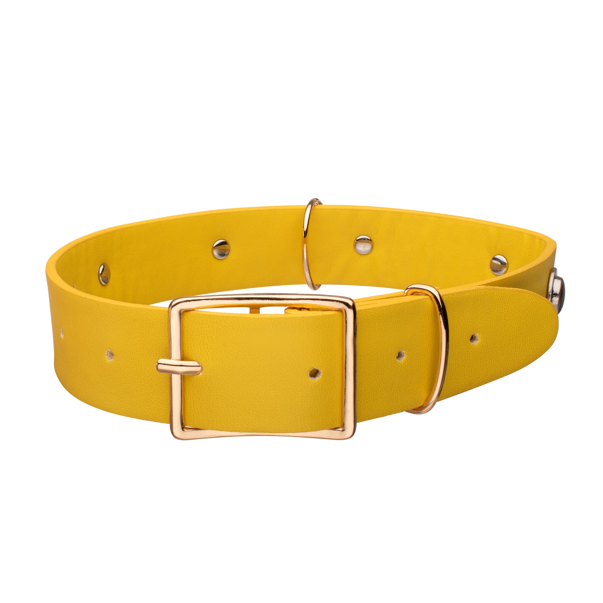 Krypto Collar Choker Necklace